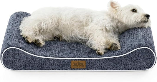 COZY KISS Orthopedic Dog Bed for Small Dogs up to 35 lbs - Removable Washable Cover with Waterproof Lining & Non-Skid Bottom, Cotton-Polyester Blend Boat-Shaped Lounger Mattress, S(30x20x5in), Blue