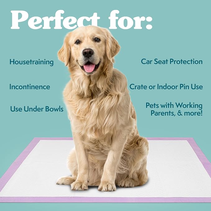Simple Solution All Day Pee Pads for Dogs, Puppy Potty Training, Leak Proof Dog Pads, Pet Pee Pad, Disposable Puppy Pad, Lavender Scent, LARGE 23"x24", 100 Count
