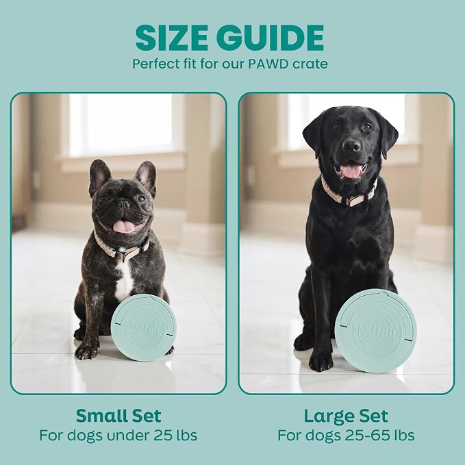 KindTail Portable Pet Feeder, Travel Dog Bowls with Lid and Handle, Microwave and Dishwasher-Safe, 10oz Inner Bowl & 20oz Outer Bowl, Grey