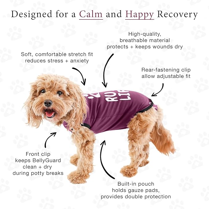 BellyGuard Dog Surgery Recovery Suit, Post-Op Dog Recovery Suit for Female Spay & Male Neuter, Comfy Onesie for Pets, Surgical Body Cover for Canine Healing Support