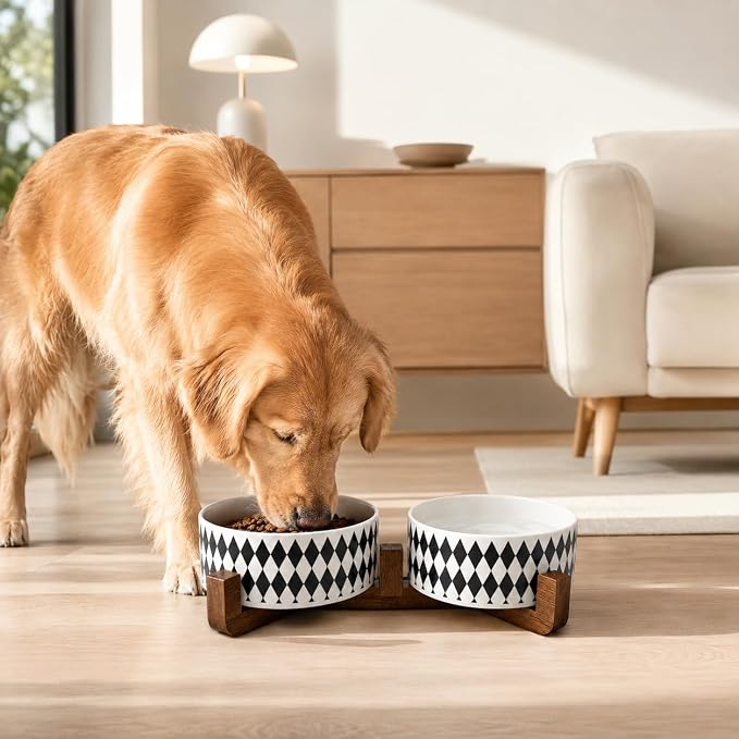 Petygooing Ceramic Dog Cat Bowl Set with Stand, Pet Food and Water Dishes,Small Dog Bowls Anti-Slip Set of 2 Cat Bowls-Pet Food Bowl- Pet Dish Small Medium Size Pet (28OZ/6.1 in) Black Rhombus