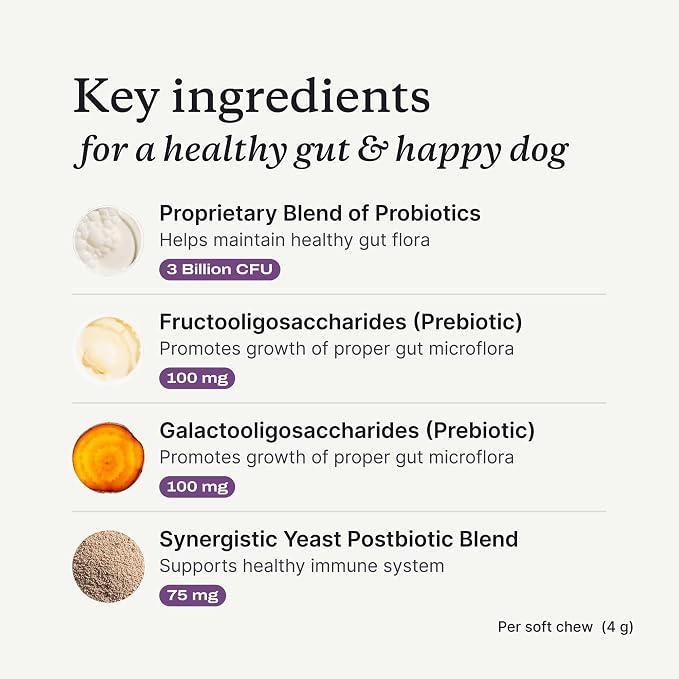 PetLab Co. Probiotics for Dogs, Support Gut Health, Occasional Diarrhea, Digestive Health & Seasonal Allergies - Salmon Flavor - Packaging May Vary - 30 Soft Chews Pack of 2