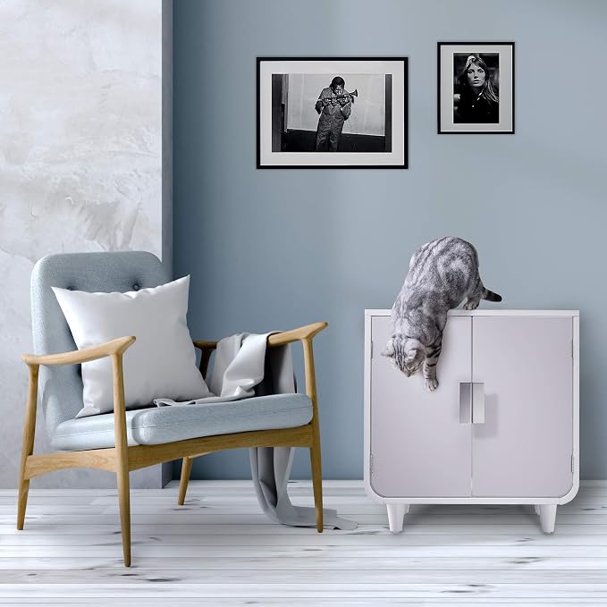 Staart Dyad Cat Litter Box Enclosure and Furniture Hidden Cat Home Side Table Nightstand Indoor Pet Crate Alpine White