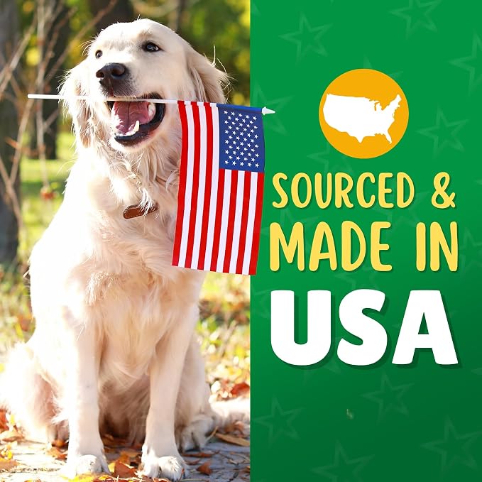 Lucky Premium Treats Chicken & Carrot Lucky Chips for Dogs – Healthy Chicken Dog Treats Made in USA – 2 Ingredient Chicken Jerky Dog Treats – 12 oz Bag