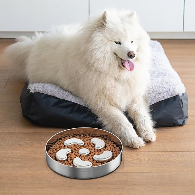 Slow Feeder Bowl + Food Mat Set