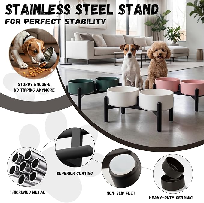 Raised Ceramic Dog Bowl Set - Elevated Double Dishes with Stainless Steel Stand - Food and Water Bowls for Small to Medium Dogs - Each Holds 3.5 Cups (29.57 fl oz) - White