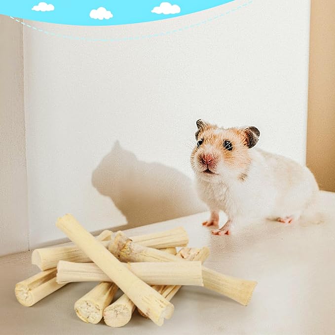 800g/1.76lb Bunny Toys Sweet Bamboo Sticks for Rabbits Bunny Chew Toys Molar Treats Snack for Small Animals Hamsters Chinchillas Guinea Pigs