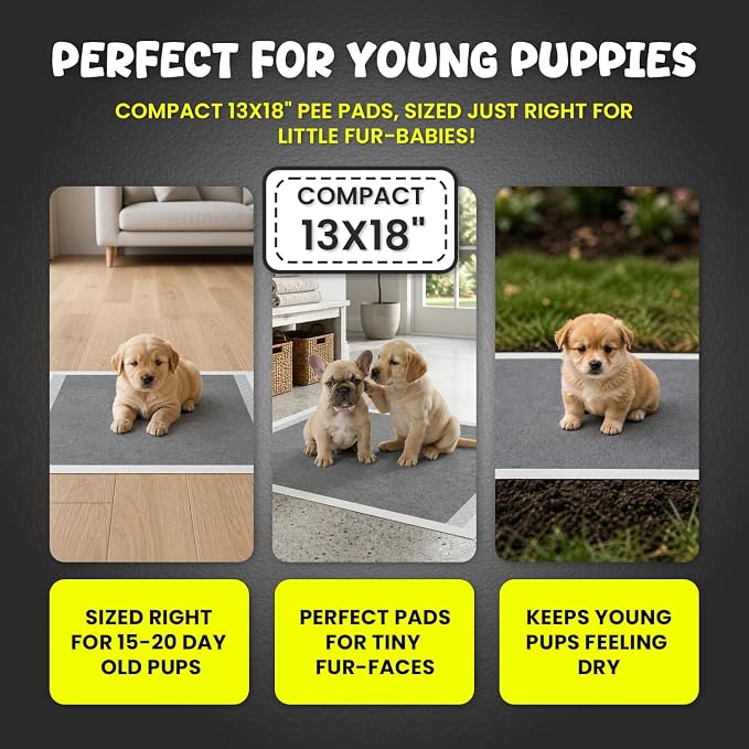 FPN Puppy Pads for Dogs Charcoal | Disposable Pee Pads for Puppies & Small Dogs | Pet Training Pads for Potty Training, Small Dog Pee Pads, Puppy Pads Bulk (100, 13x18 inch)