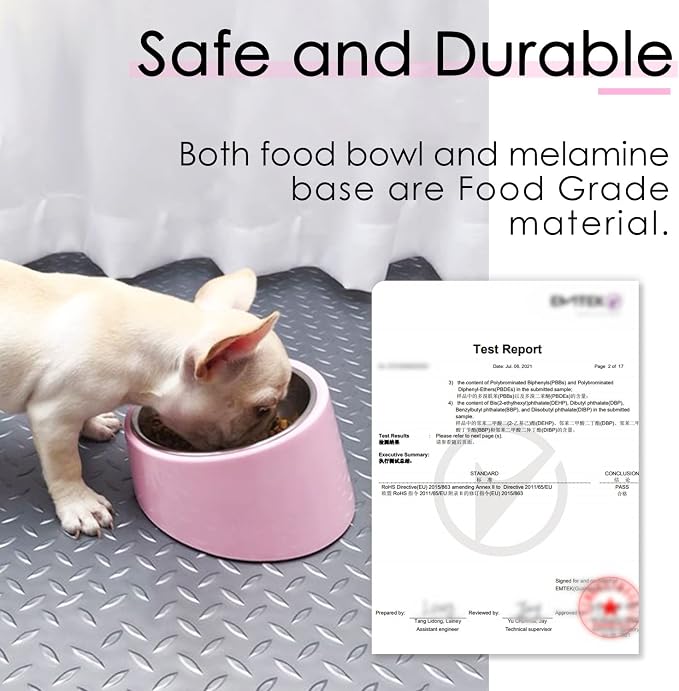 SuperDesign Mess Free 15° Slanted Bowl for Dogs and Cats, Tilted Angle Bulldog Bowl Dog Feeder, Non-Skid & Non-Spill, Easier to Reach Food S/0.5 Cup Pink