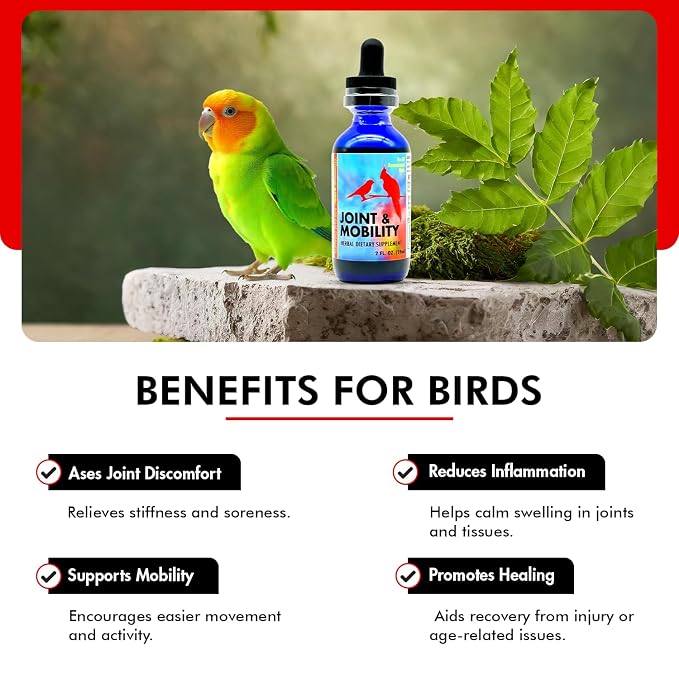 Morning Bird Joint & Mobility 2 fl oz – Herbal Liquid Supplement for Birds – Supports Joint Health, Muscle Comfort & Mobility – Ideal for Aging or Recovering Birds