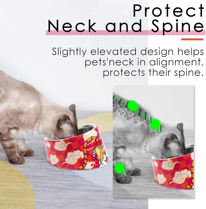 Super Design Mess Free 15° Slanted Bowl for Dogs and Cats, Tilted Angle Bulldog Bowl Pet Feeder, Non-Skid & Non-Spill, Easier to Reach Food