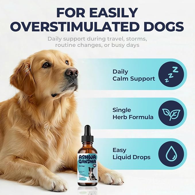 Ashwagandha for Dogs Liquid Drops, Dog Calming Support Supplement, Helps Maintain Calm Behavior, Emotional Balance & Relaxed Daily Routine, Easy to Add to Food or Water, 2 fl oz