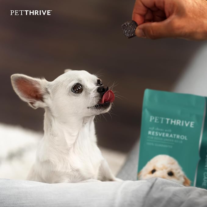 Dog Hip and Joint Support Supplement Soft Chews with Resveratrol, Glucosamine, Chondroitin, Hyaluronic Acid, Bacon Flavor, Small Breed