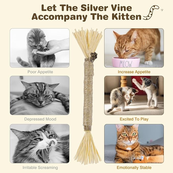Silvervine Sticks for Cats - Cat Chew Toy for Teeth Cleaning, Edible Matatabi Kitty Chew Sticks, Catnip Cat Toys for Indoor Cats (4, Grey)