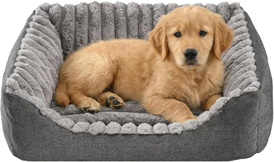 Avont Supportive Dog Bed for Medium Dogs, Plush Foam Fill, Grey | Removable Machine Washable Cover, Low 5.12" Entry for Pups & Seniors, 7:3 Foam-PP, Non-slip Bottom, Hidden Chew-proof Zippers