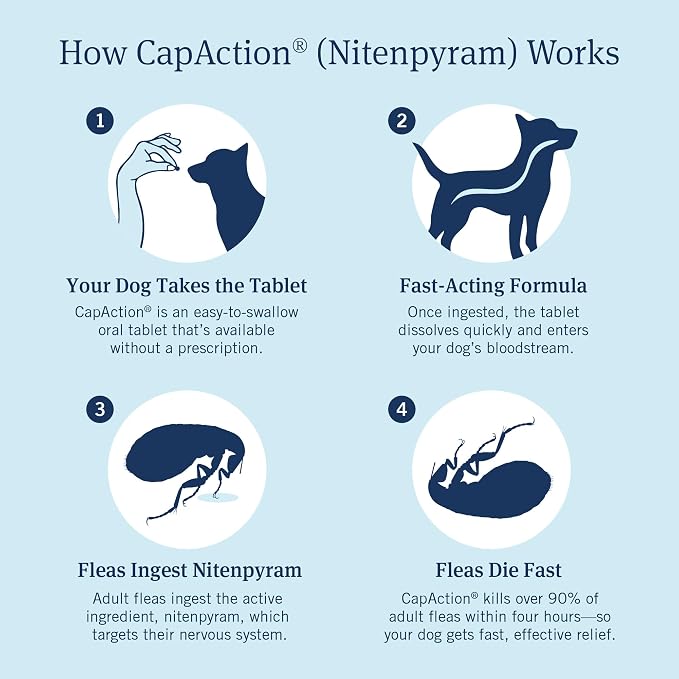 PetArmor CAPACTION (nitenpyram) Oral Flea Treatment for Dogs, Fast Acting Tablets Start Killing Fleas in 30 Minutes, Dogs Over 25 lbs, 6 Doses (Pack of 1) (Packaging May Vary)