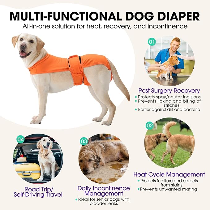 Dog Diapers for Female Dogs, Washable Reusable Female Dog Diapers, Leak Proof Doggie Underwear Sanitary Pants for Heat Cycle, Incontinence and Puppy Training, Adjustable Belly Bands - Orange M