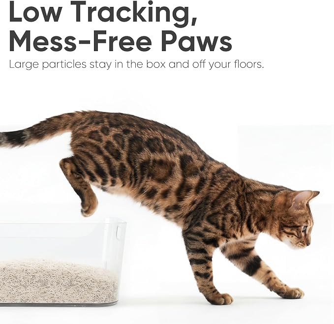 FUKUMARU Tofu Cat Litter - White Tea Scented Natural Lightweight Cat Litter Pellets, Dust Free Quick Clumping, Effective Odor Control, Flushable, Low Tracking, 24lb (6lb x 4 Bags)