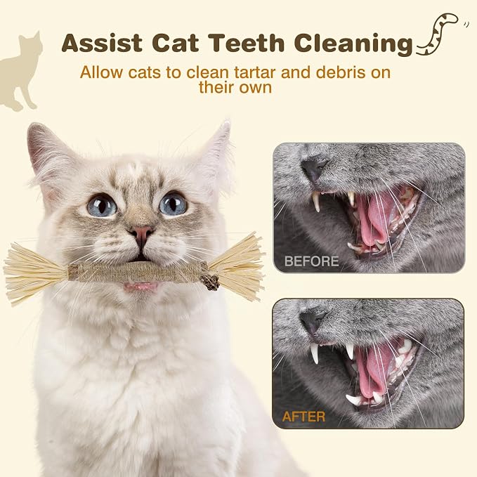 Silvervine Sticks for Cats - Cat Chew Toy for Teeth Cleaning, Edible Matatabi Kitty Chew Sticks, Catnip Cat Toys for Indoor Cats (4, Grey)
