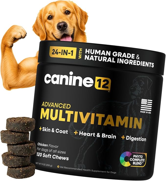 Dog Multivitamin - 24-in-1 Chewable Supplement with Vitamins A, B, C, D, E and Dog Probiotics – Premium Dog Vitamin Chews w/Human-Grade & Natural Ingredients, 120 Count