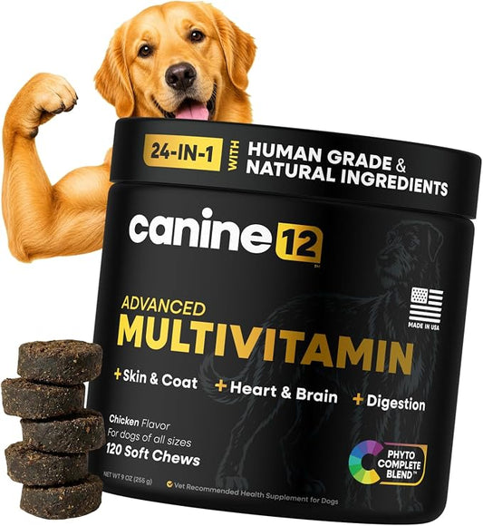 Dog Multivitamin - 24-in-1 Chewable Supplement with Vitamins A, B, C, D, E and Dog Probiotics – Premium Dog Vitamin Chews w/Human-Grade & Natural Ingredients, 120 Count