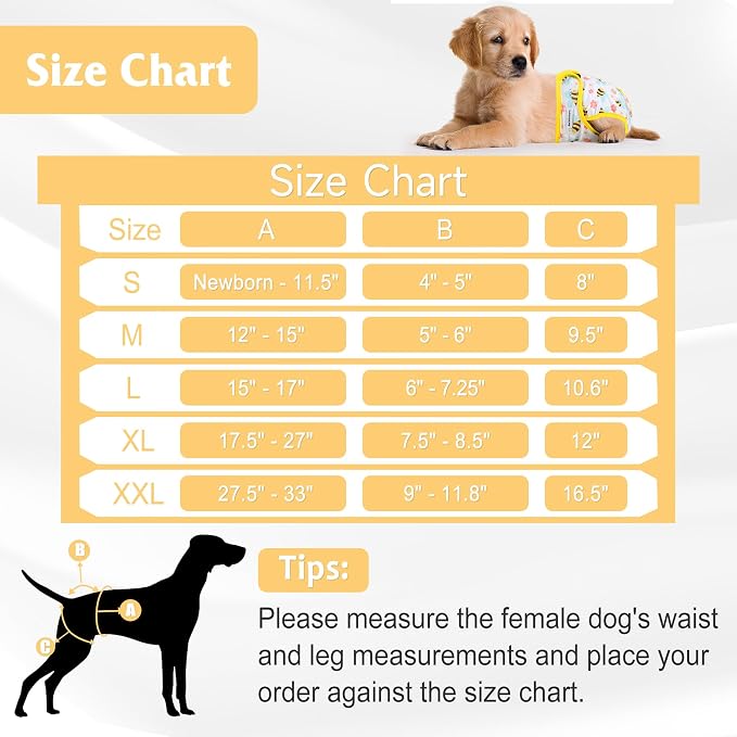 5 Pack Reusable Diapers for Doggie, Highly Absorbent Dog Diapers Female for Pet with Incontinence or Frequent Urination, Large Dog Diapers Female, Animal