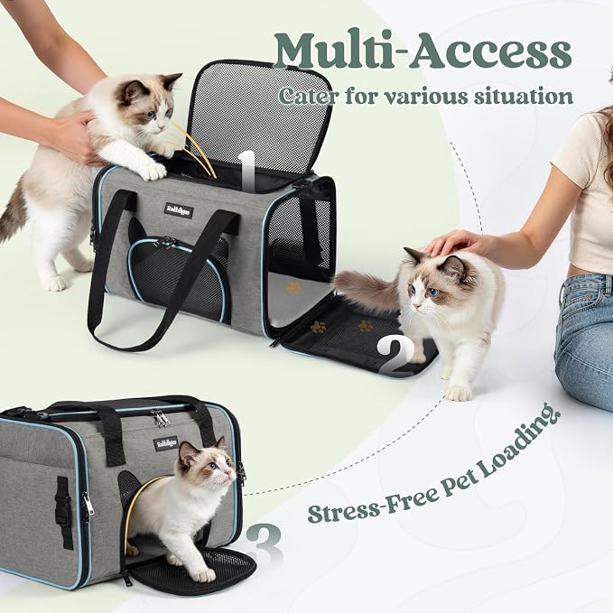 rabbitgoo Cat Carrier Soft Sided, Stable Portable Pet Carrier with Safety Buckles for Car Travel Vet Visit Airline, Comfortable Breathable Kitten Bag for Small Medium Cat, Grey, 17x11x11 inch