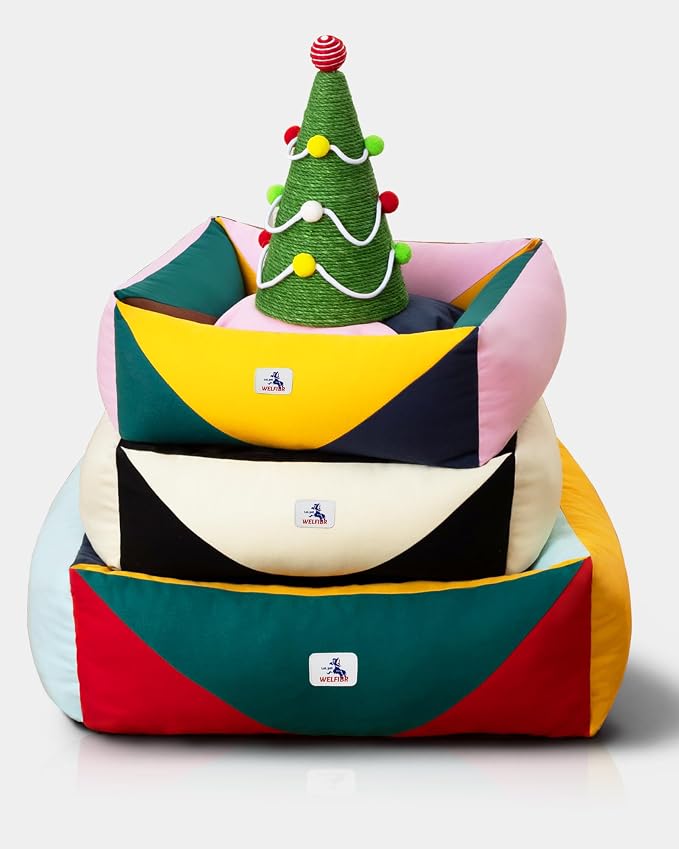 Cotton Canvas Dog Bed, Cute Dog Bed Medium Size Dog, Puppy Bed with Washable Removable Cover, Durable 290 GSM Cotton Anti-Chewing Pet Bed with Anti-Slip Bottom (30"x25"x10", Red&Yellow&Green)