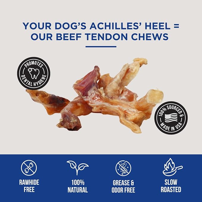 Natural Rapport Beef Tendon Dog Chews - Single Ingredient, Long Lasting, Promotes Dental Health & Joint Support (10 Count Value Pack)