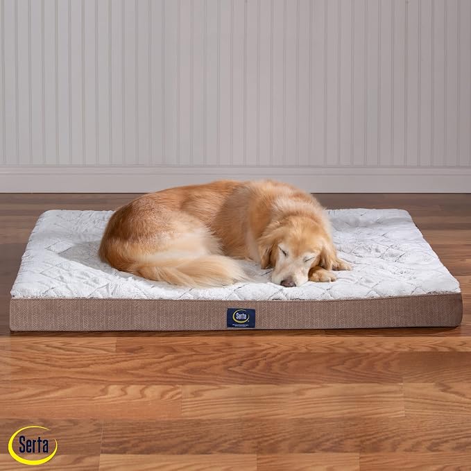 Serta Orthopedic Quilted Pillow Top Dog Bed for Pets – Chocolate Brown (X-Large)