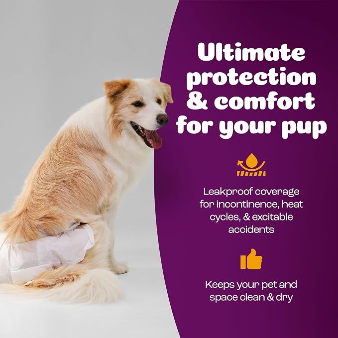 Inspire Pet Care Dog Diapers Female Dogs | Bulk Value Doggie Incontinence, Accidents, for Heat, Pee or Period and Housebreaking (X-Large (28 Count))