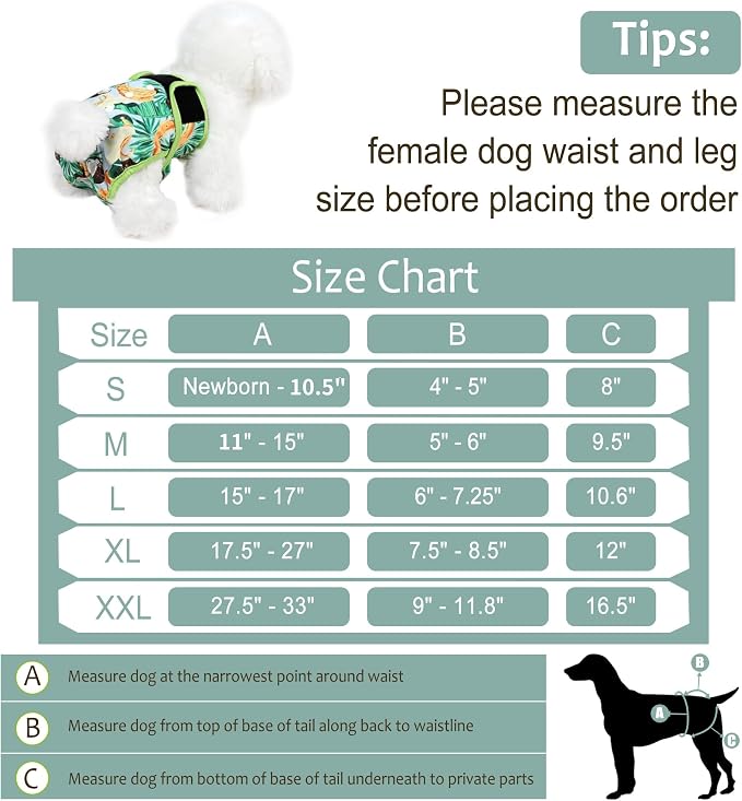 Washable Female Dog Diapers - Premium Reusable Diapers for Doggie in Heat - Highly Absorbent Dog Diapers Female for Pet Incontinence with Adjustable Snaps (Succulents，S)