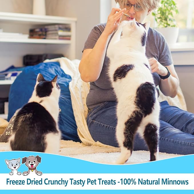 Minnows - 4 oz Freeze Dried Minnows for Cats & Dogs - 100% Natural Premium Cat Treat, Dog Treat (4 oz)