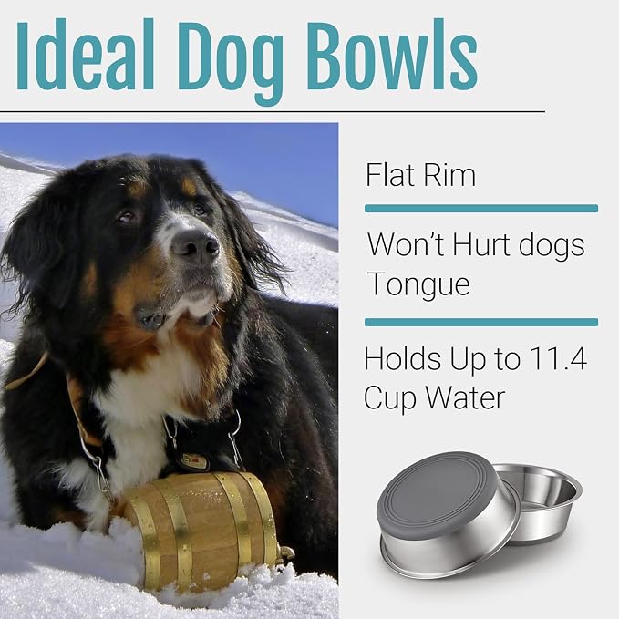 PEGGY11 Nonslip Stainless Steel Dog Bowls, 11.4 US Cup, 4 Count