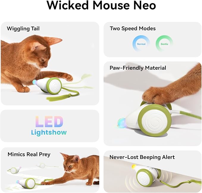 Cheerble Interactive Cat Toys for Indoor Cats, Automatic Moving Kitten Toys, Wicked Mouse Neo Cat Toy with Tail & Lights, Pet Cat Supplies, Rechargeable Cat Toys for Bored Indoor Adult Cats
