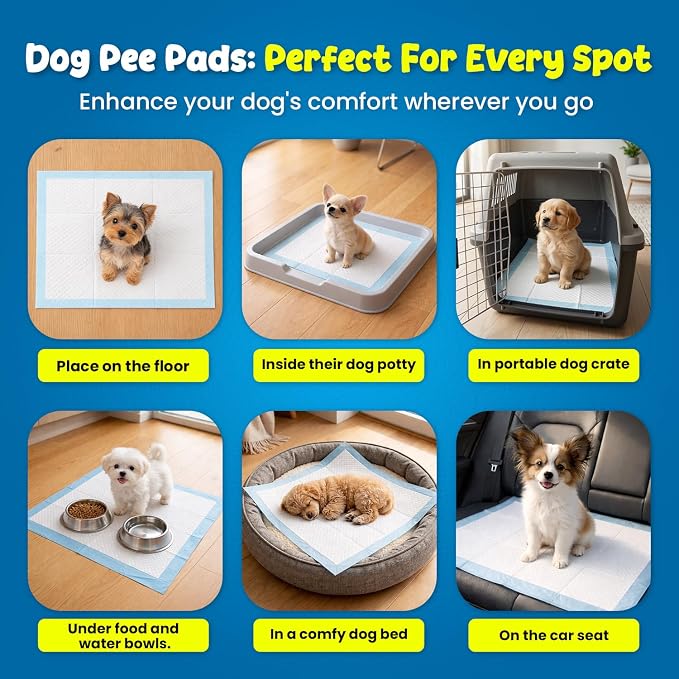 FPN Puppy Pads for Dogs Small 13x18 Inch | Disposable Puppy Pee Pads for Dogs | Pet Training Pads 100 Count for Potty Training, Small Dog Pee Pads, Puppy Training Pads Bulk