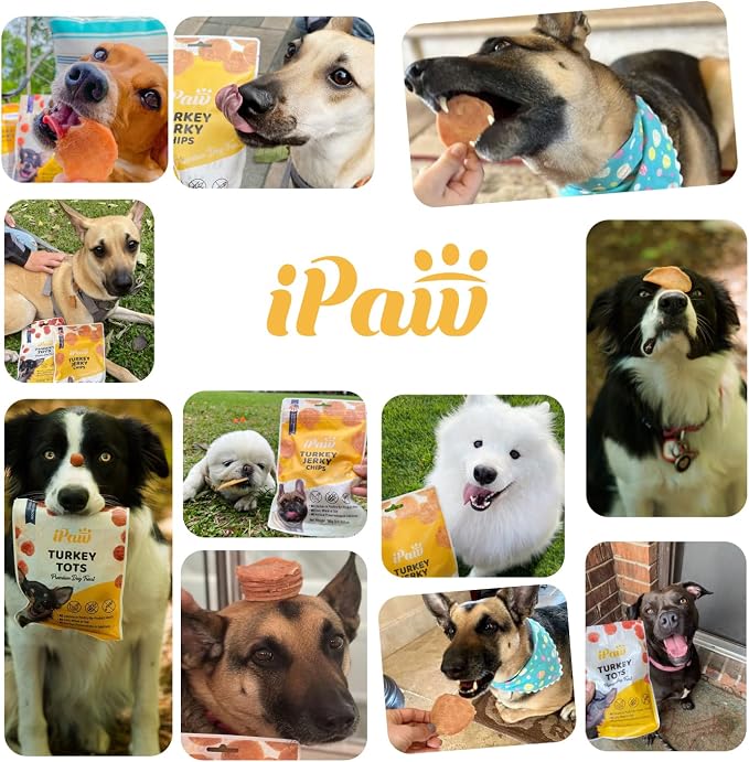 iPaw Turkey Tots Dog Treats for Puppy Training, SQF Certified Human Grade Dog Treat, Hypoallergenic, Easy to Digest (Turkey Tots)