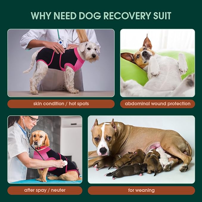 Kuoser Recovery Suit for Dogs After Surgery, Soft Dog Surgery Suit Female Male, Breathable Pet Surgical Recovery Shirt, Anti Licking Dog Onesie for Abdominal Wounds Cone Alternatives, Black M