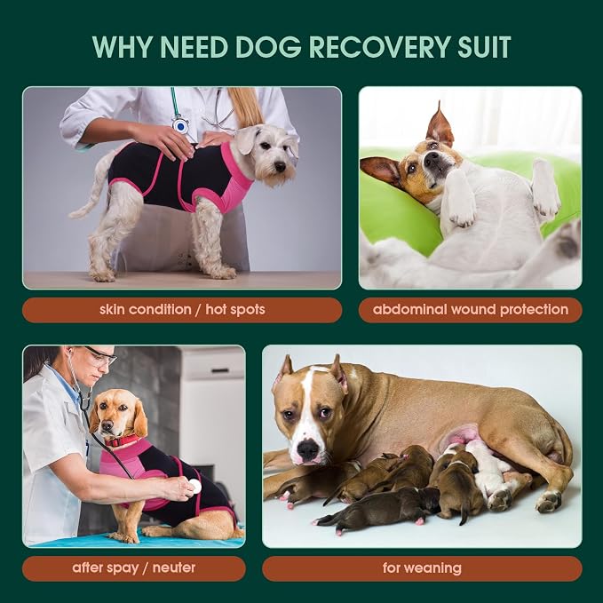 Kuoser Recovery Suit for Dogs After Surgery, Soft Dog Surgery Suit Female Male, Breathable Pet Surgical Recovery Shirt, Anti Licking Dog Onesie for Abdominal Wounds Cone Alternatives, Black XS