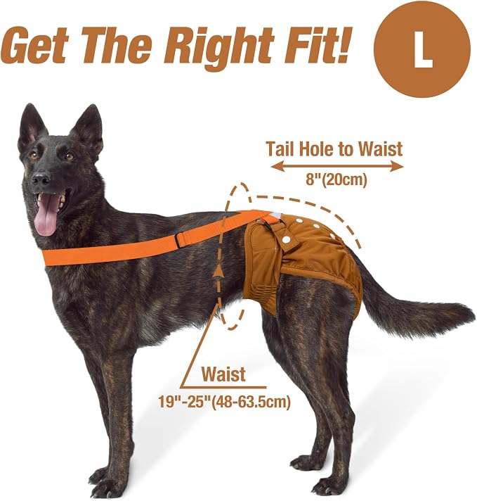 Pet Soft Dog Diapers Female with Suspenders, 3 Pack Reusable Female Dog Diapers for Heat, Dog Period Panties for Doggie in Cycle(Large, Deepcolor)