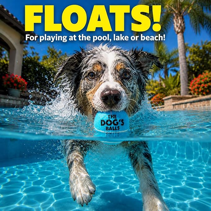The Dog's Balls Dog Tennis Balls Tough 2.5" 12-Pack Blue Floats in Water | Our fetch balls combine non-abrasive felt exterior and a thicker rubber core Durable Dog Toy for Outdoor Play & Training