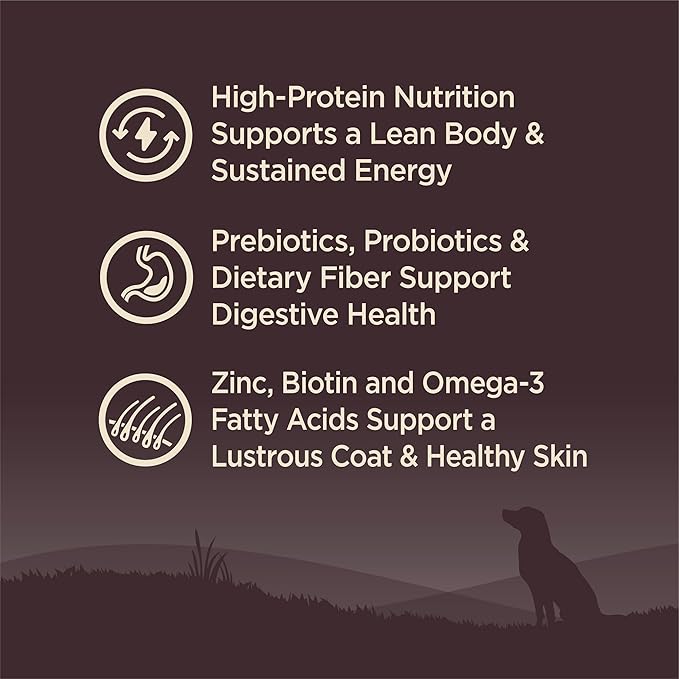 Wellness CORE Adult Dry Dog Food, Grain Free Kibble, Natural, High Protein, Turkey and Chicken Recipe, 35 lb Bag