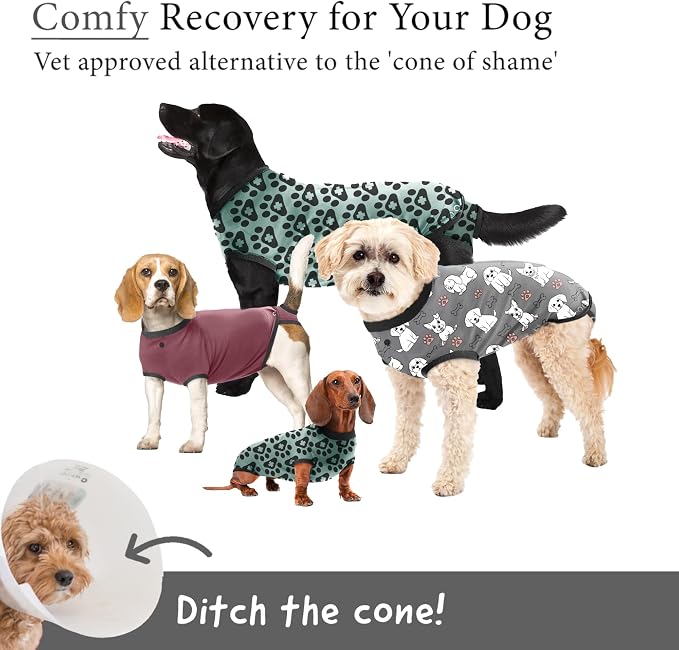 BellyGuard Dog Surgery Recovery Suit, Post-Op Dog Recovery Suit for Female Spay & Male Neuter, Comfy Onesie for Pets, Surgical Body Cover for Canine Healing Support