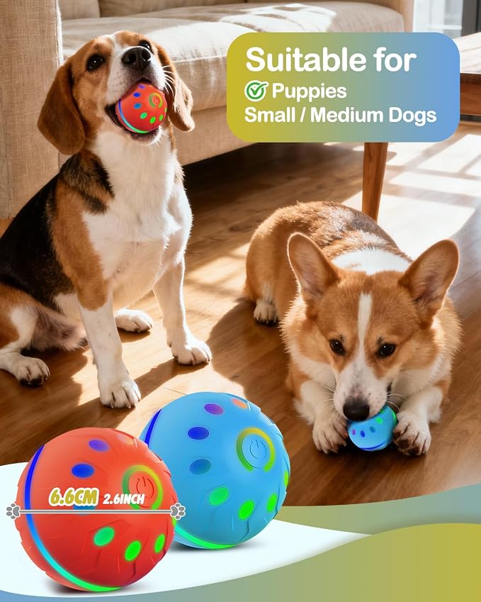 Zoomsnail Interactive Dog Toys, BPA-Free Rechargeable Automatic Dog Balls with Lights, Waterproof & 2 Modes Balls for Small/Medium Dogs, Perfect for Play and as a Pet Gift, 2 Pack