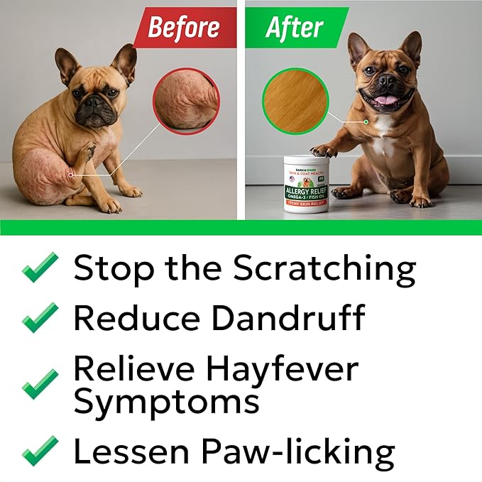 BARK&SPARK Dog Allergy Relief Soft Chews for Skin Health & Seasonal Allergies - Anti-Itch Supplement w/Omega-3, Quercetin & Bromelain Immune Treats for Dry Skin & Hot Spots - BBQ Chicken - 60ct