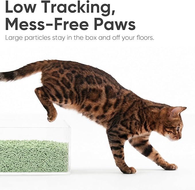 FUKUMARU Tofu Cat Litter 18LB – Clumping Cat Litter, Odor Control with Green Tea Scent, Dust Free and Easy to Agglomerate, Disposable in The Toilet
