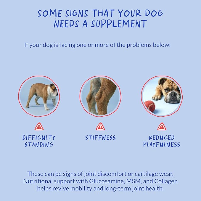 Hip & Joint Max Strength Dogs - Collagen, Glucosamine & Fish Oil | Max Strength with Collagen, Glucosamine & Fish Oil. Supports hip & joint health, eases inflammation & acts as antioxidant.