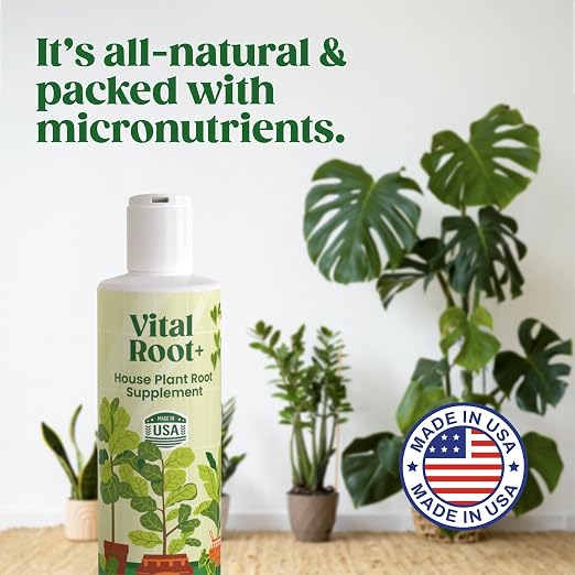 Root Rot Repair & Plant Transplant Shock Recovery – Liquid Supplement for Indoor Plants, Fiddle Leaf Fig, Monstera & Pothos | Heals Roots, Prevents Brown Spots & Leaf Drop, 8 oz – Vital Root+
