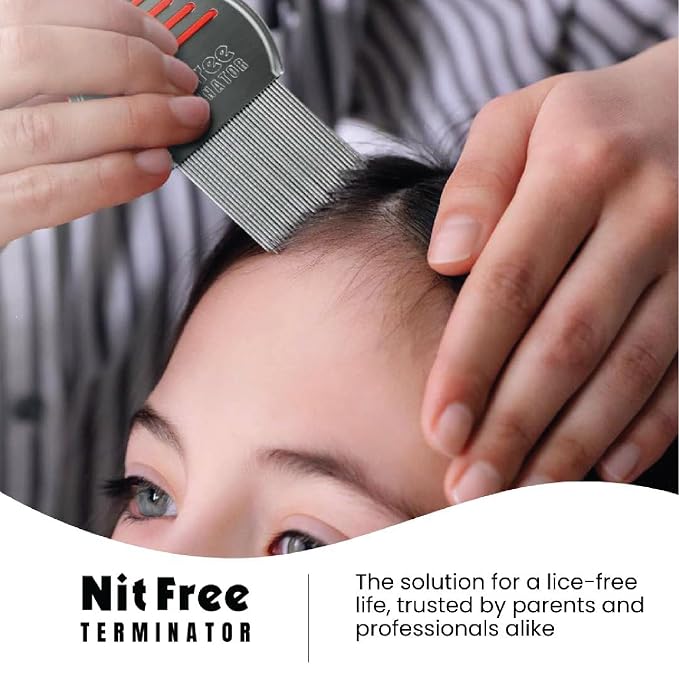 Nit Free Terminator Lice Comb - Professional Stainless Steel Comb for Effective Head Lice Treatment (Colors May Vary) (Pack of 48)