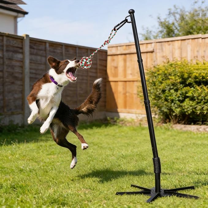 CWV Outdoor Tug of War Dog Toy for Large Dog, Tether Interactive Dog Solo Play Exercise Kit with 4 Kind of Toys for Self Play and Interactive